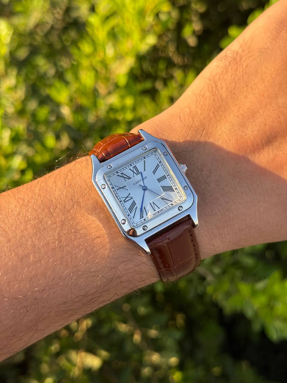 Cartier Santos-Dumont (brown)