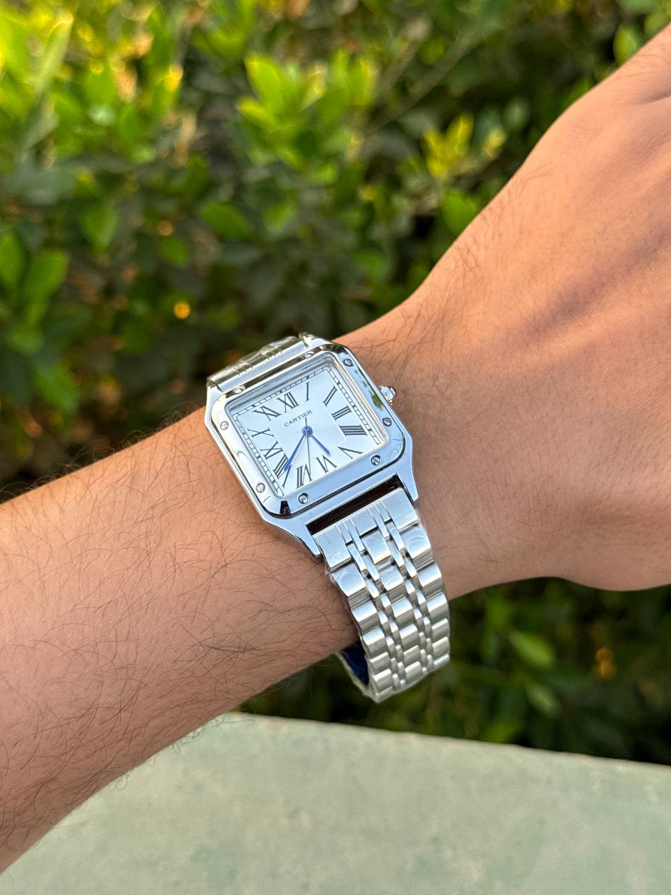 Cartier (Panthère de Cartier)