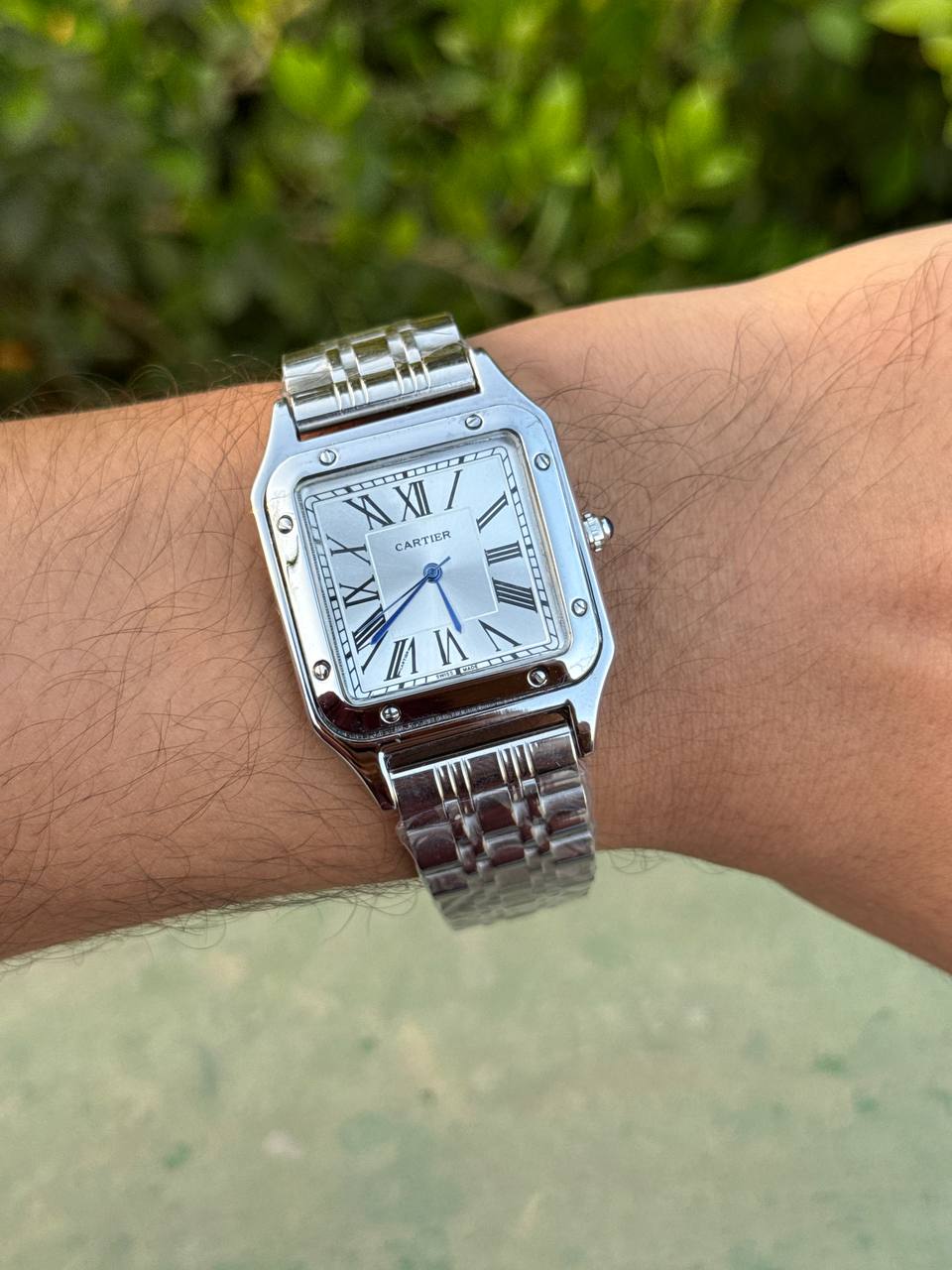 Cartier (Panthère de Cartier)