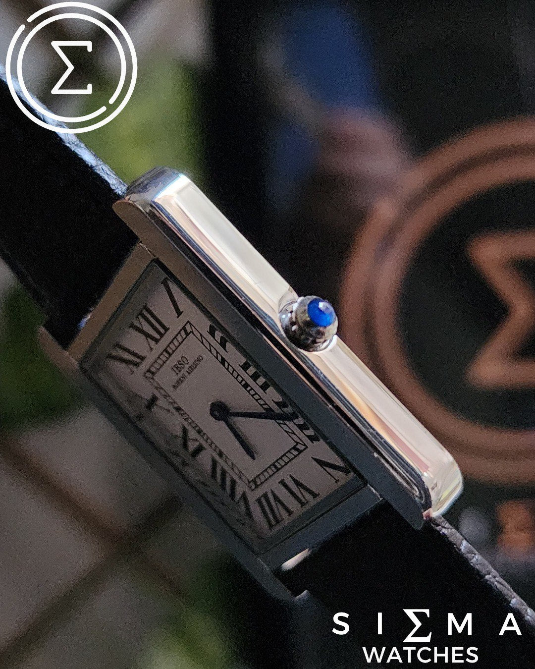 IBSO tank leather 22