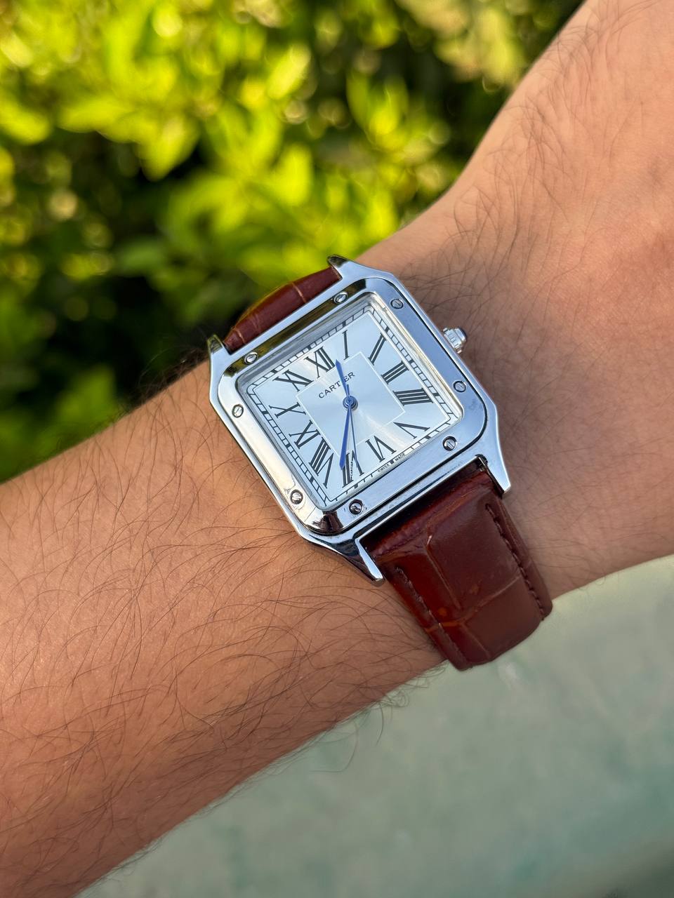 Cartier Santos-Dumont (brown)