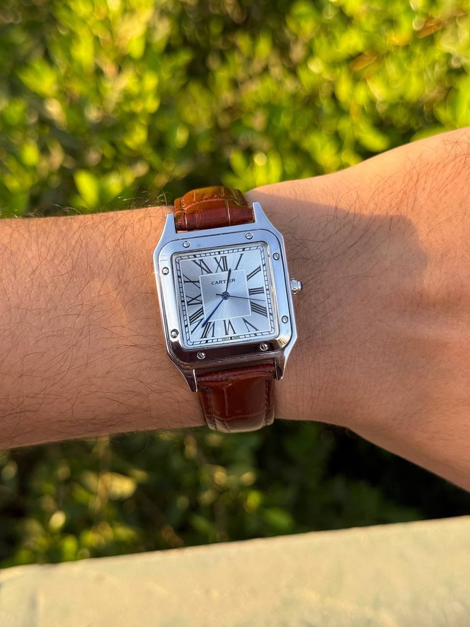 Cartier Santos-Dumont (brown)