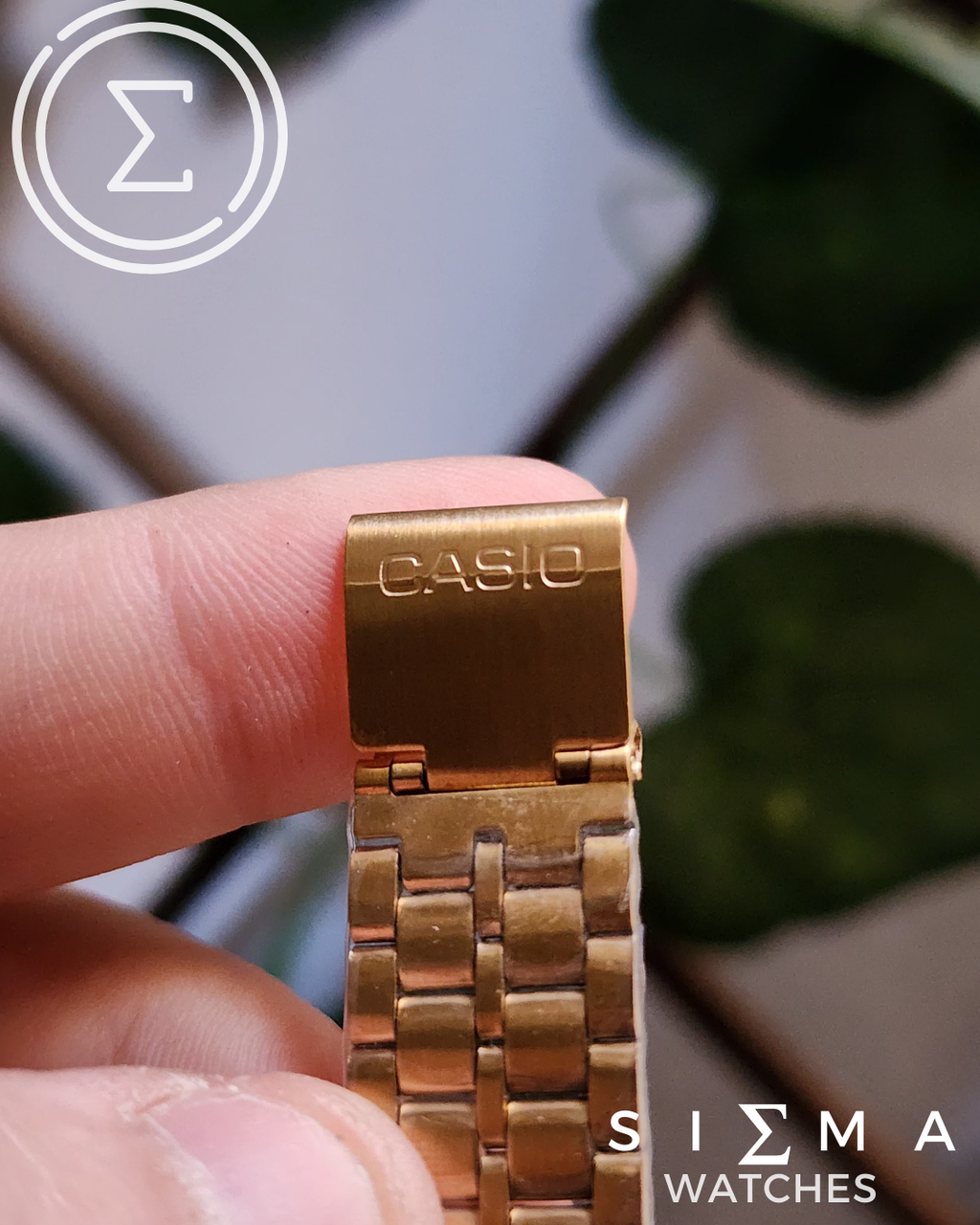 CASIO PRX japanese (WOMEN)