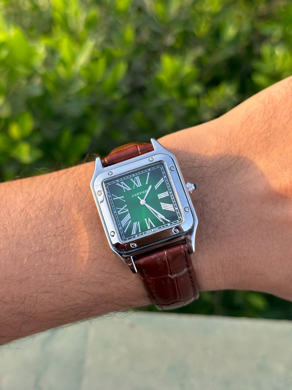 Cartier Santos-Dumont (brown)