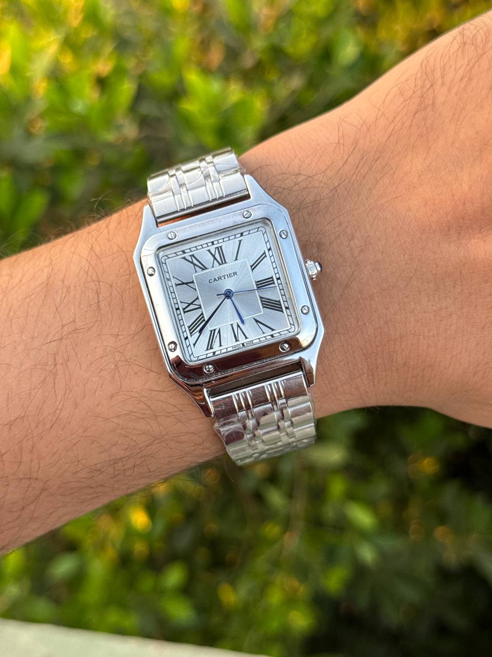 Cartier (Panthère de Cartier)