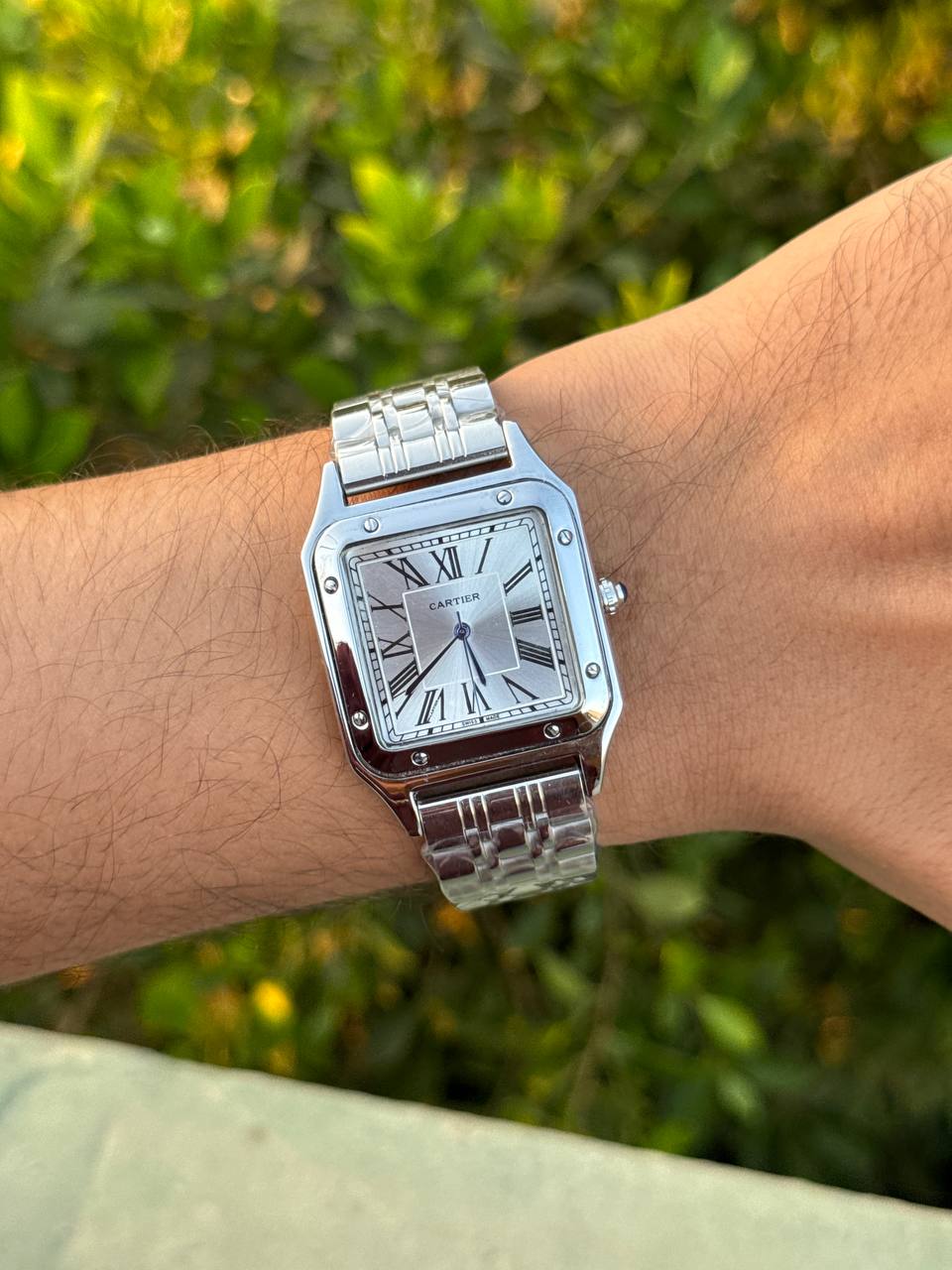 Cartier (Panthère de Cartier)