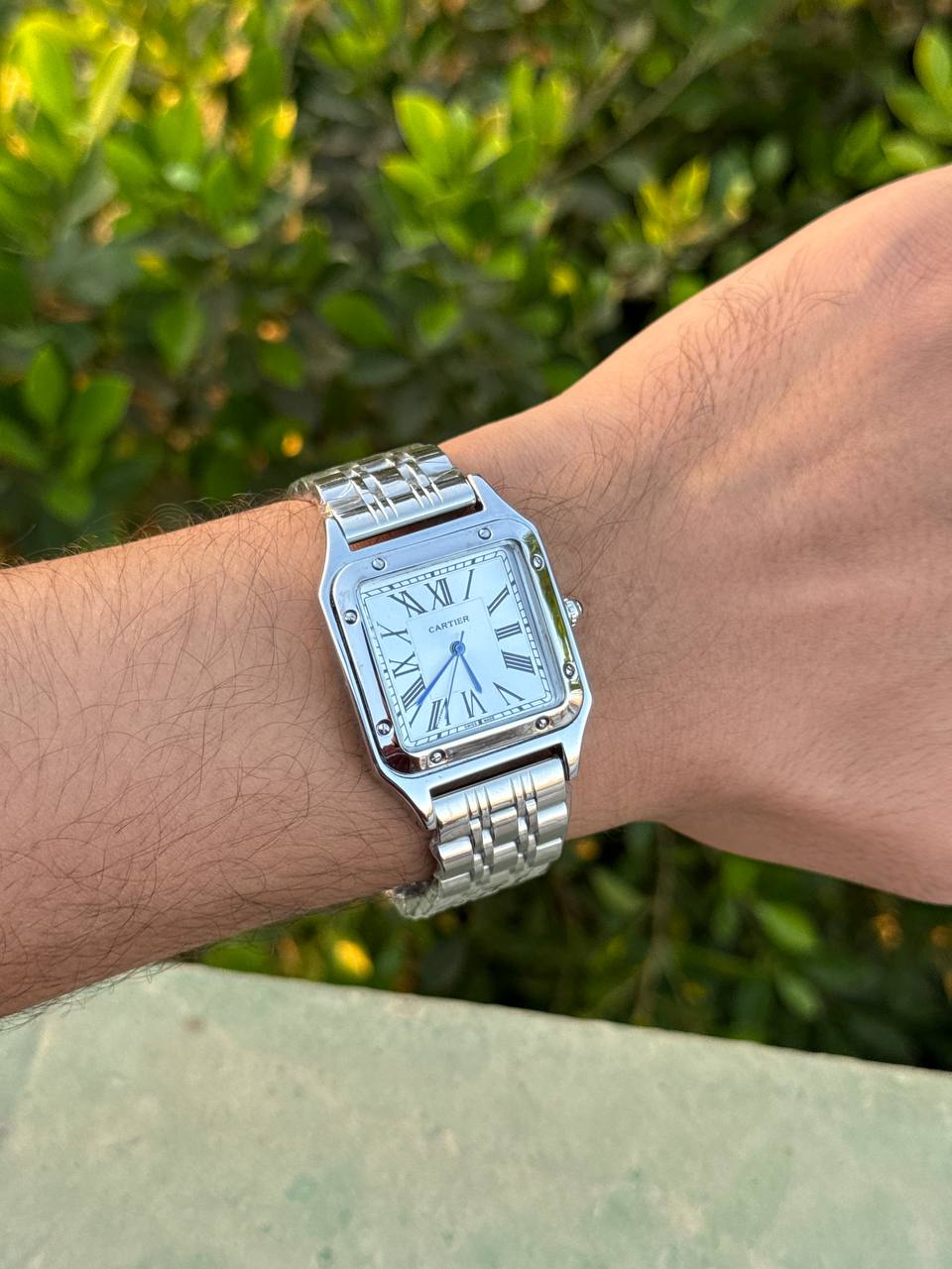 Cartier (Panthère de Cartier)