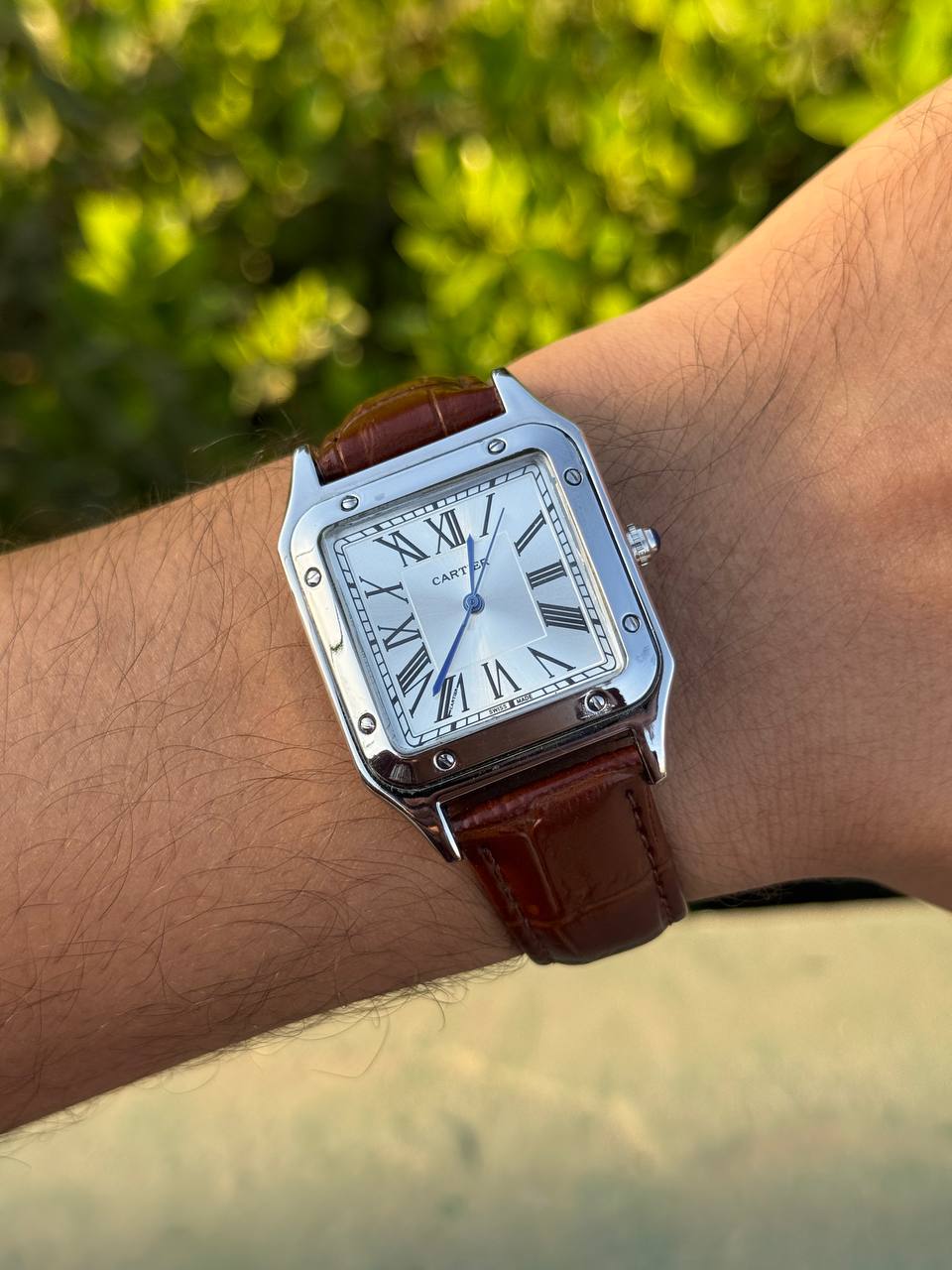Cartier Santos-Dumont (brown)