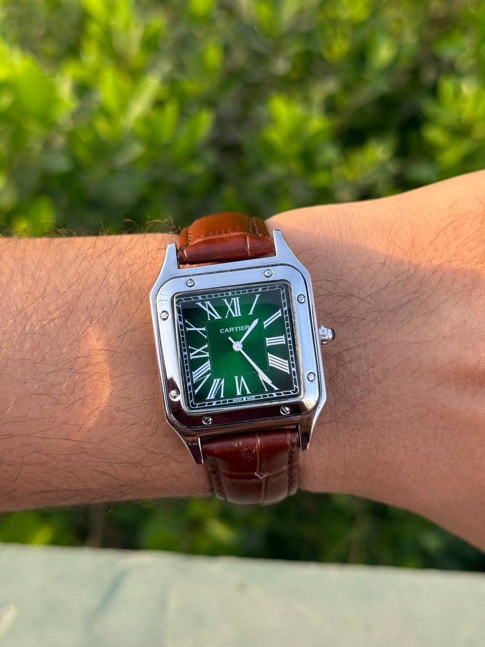 Cartier Santos-Dumont (brown)